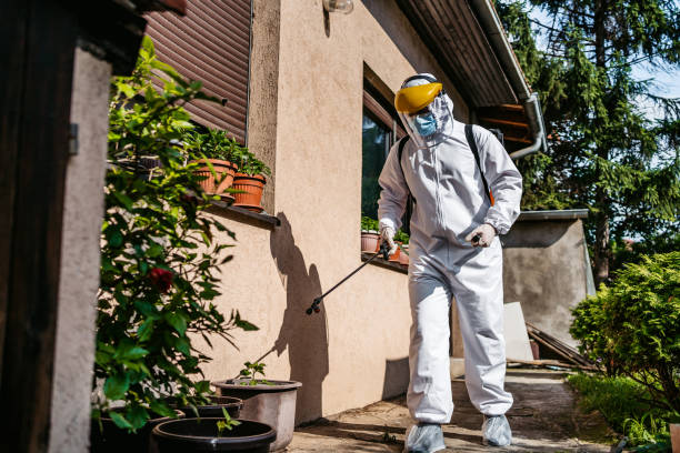 Best Affordable Pest Control Services  in Hamtramck, MI
