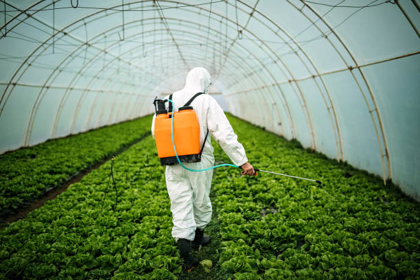 Best Affordable Exterminators  in Hamtramck, MI