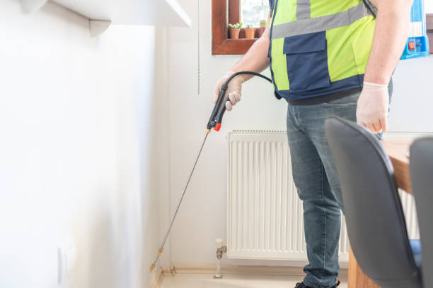 Best Flea Control Services  in Hamtramck, MI