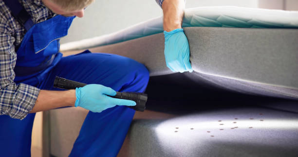 Best Best Pest Control Companies  in Hamtramck, MI