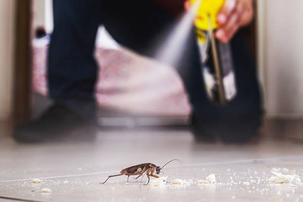 Best Best Pest Control Companies  in Hamtramck, MI