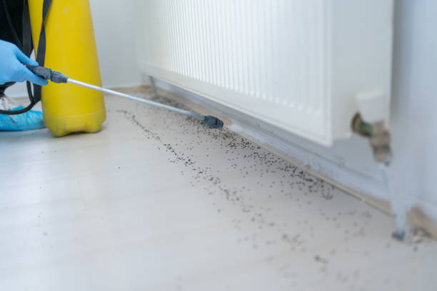 Best Pest Inspection Near Me  in Hamtramck, MI